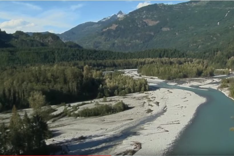 Pitt River Aerial Tour