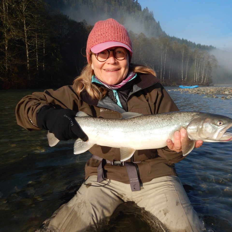 Sea Run Bull Trout at the Upper Pitt River Wilderness Lodge